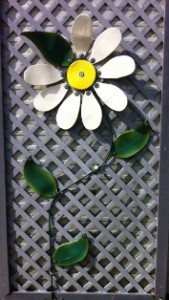 Giant-Daisy-169x300